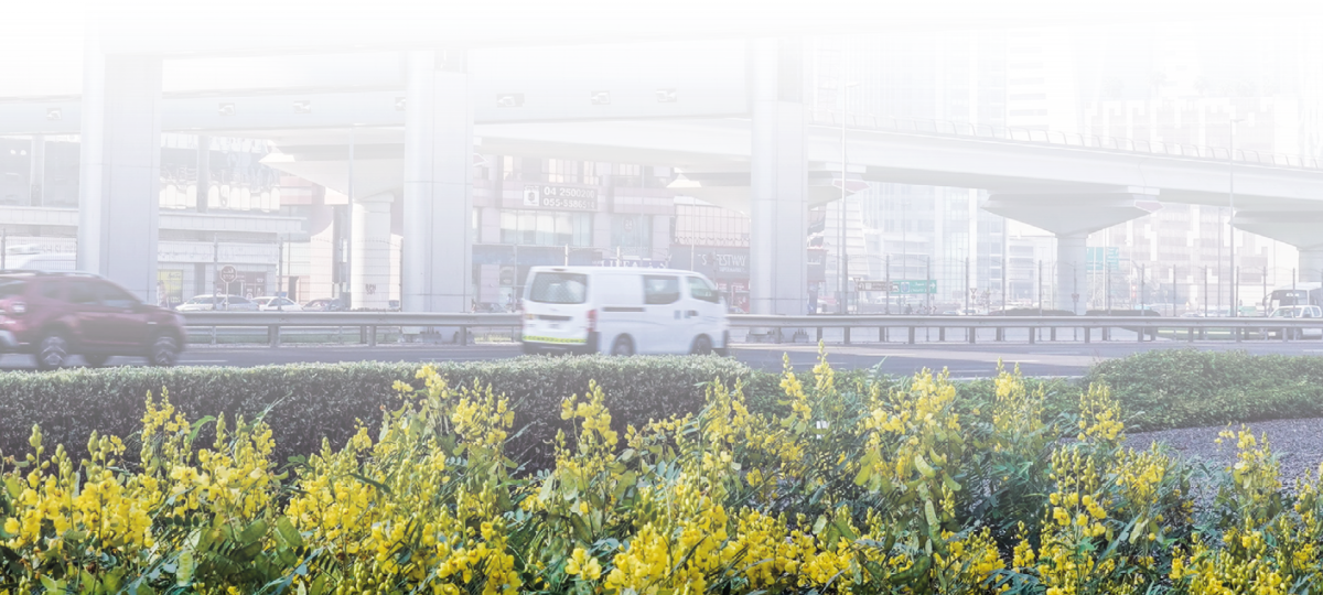 Environmental Stewardship