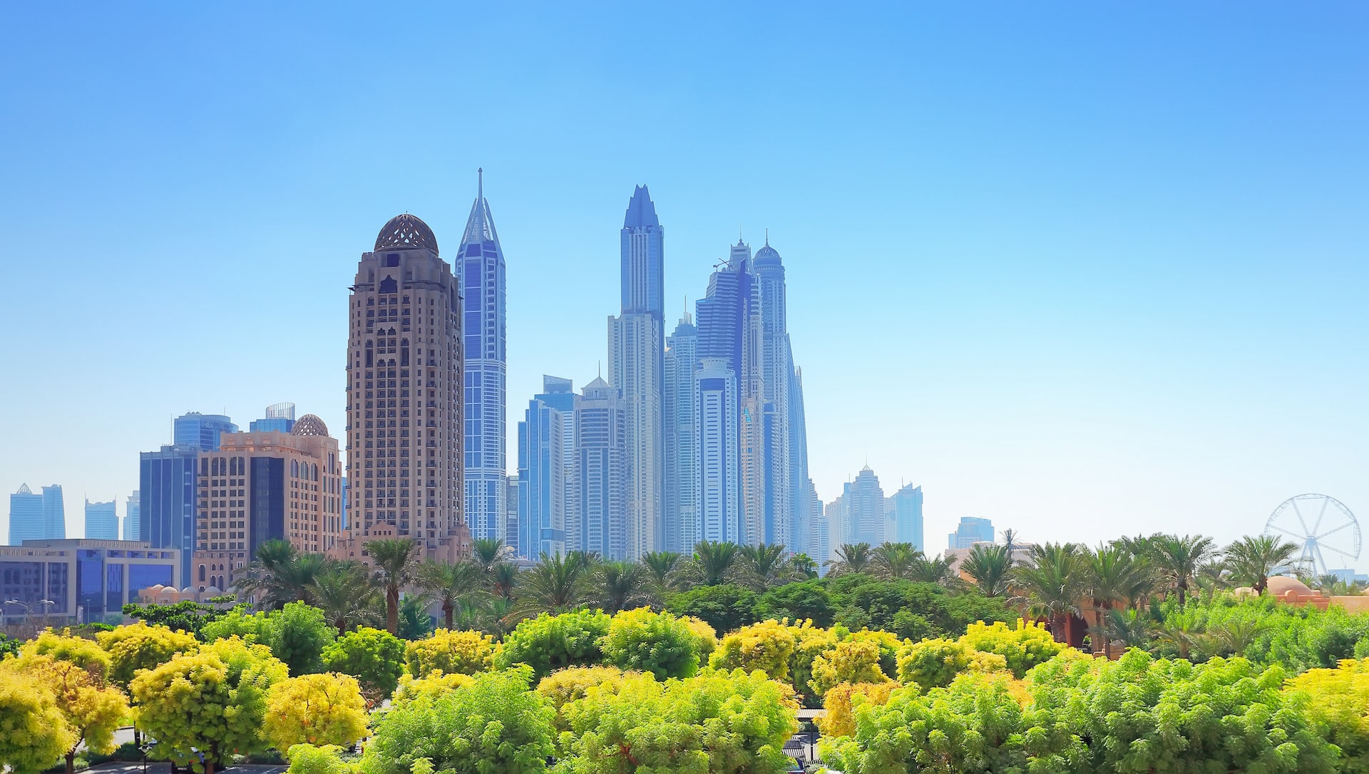 Build ESG Stewardship